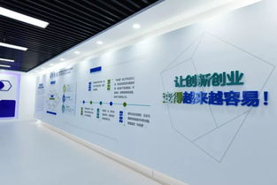 互聯(lián)網(wǎng)服務 創(chuàng)新創(chuàng)業(yè)的沃土，方興未艾的新篇章